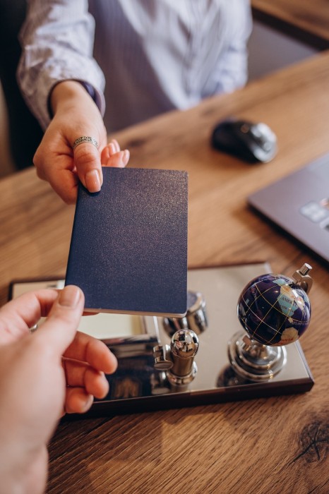 Visa Consultancy & Document Tracking